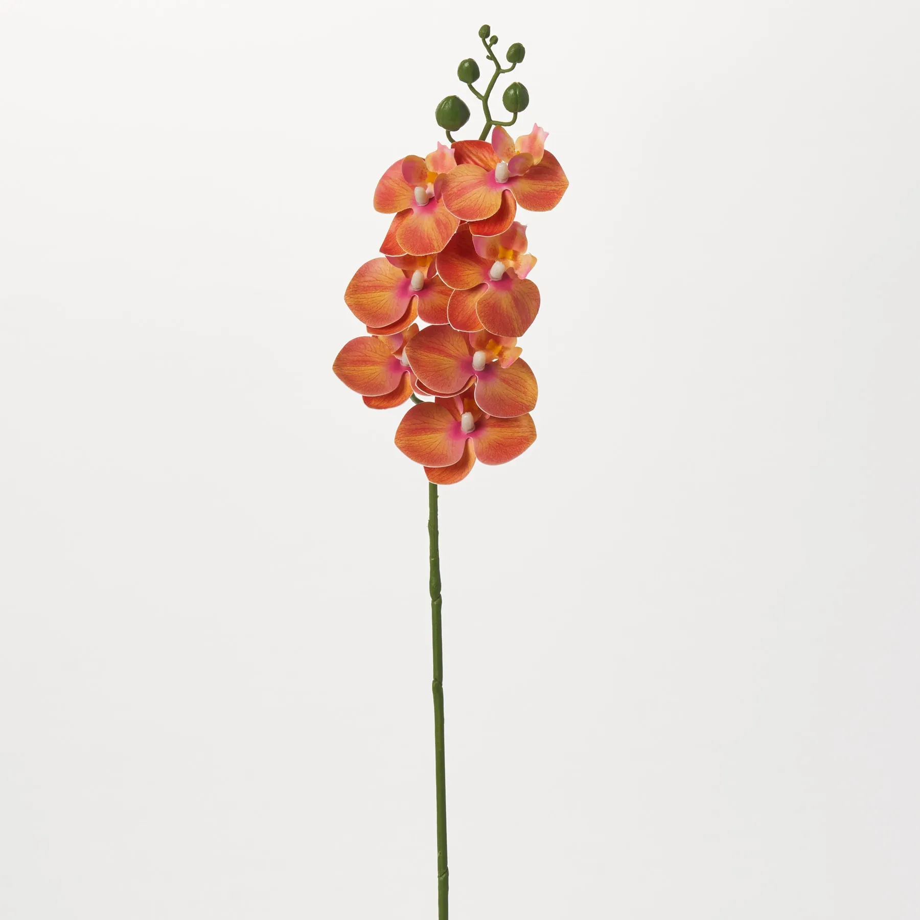Blooming Orange Phalaenopsis Orchid Single Long Stem Tropical Faux Floral Spray - 25"