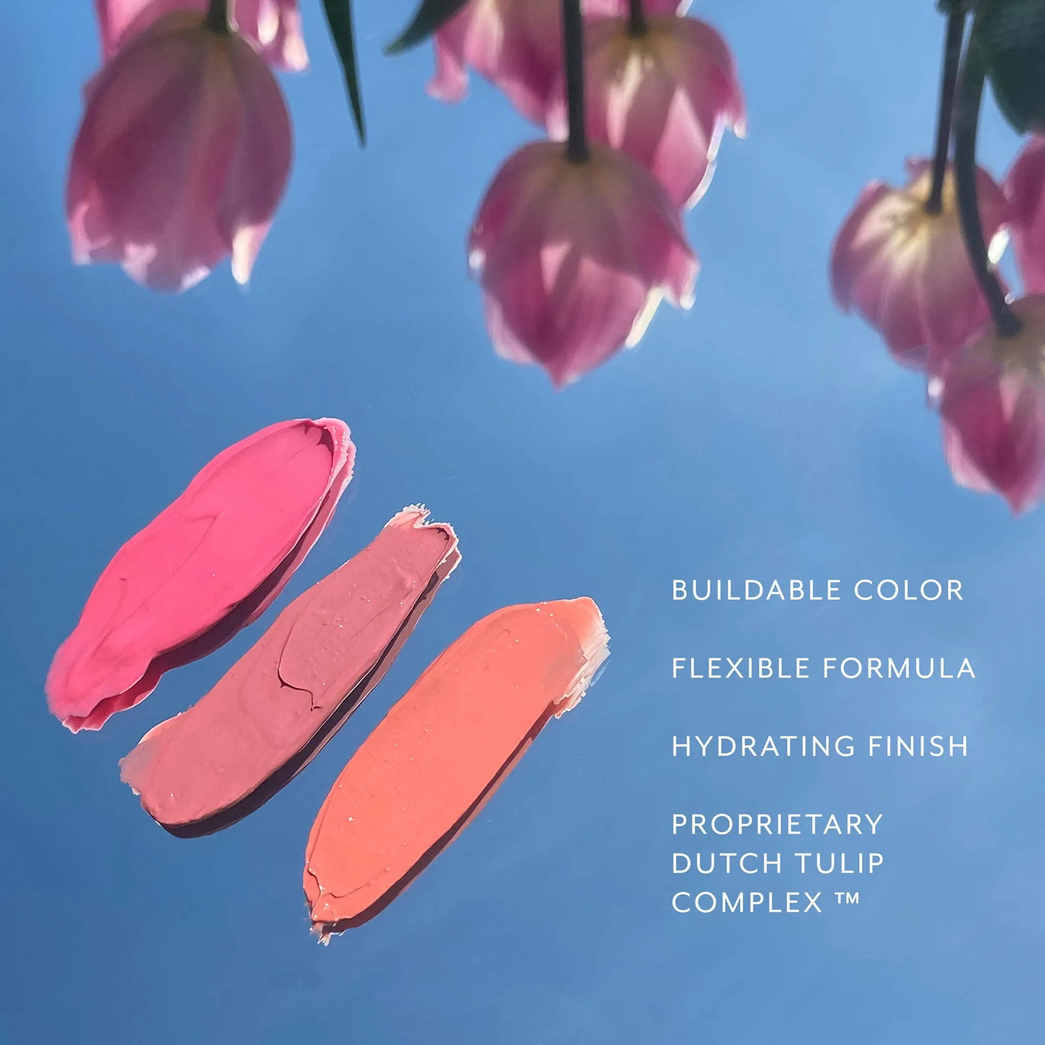Tulip Tint